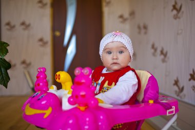 Harika bebek