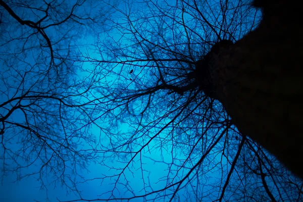 Dunkle Nacht — Stockfoto