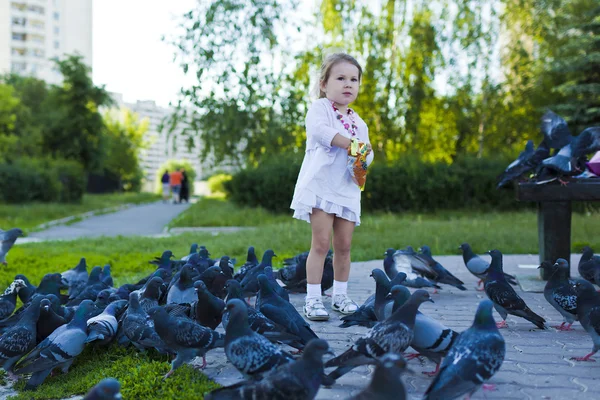 stock image Little girl feeding pigeons urban blue-gray