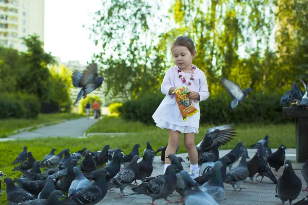 stock image Little girl feeding pigeons urban blue-gray