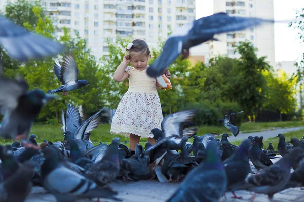 Niña alimentando palomas urbanas azul-gris — Foto de Stock