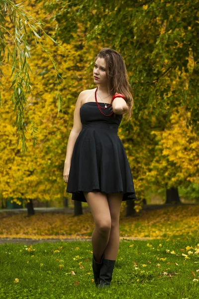 Güzel kız parkta sonbaharda yürür. — Stok fotoğraf