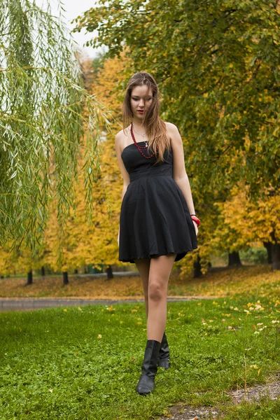 美丽的女孩在公园里行走在秋天 — 图库照片