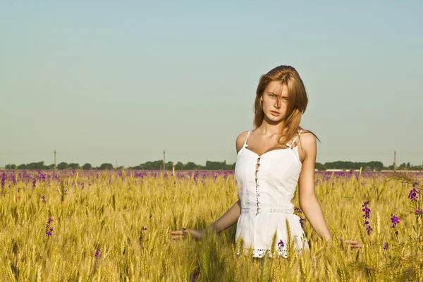 Uma bela mulher caminha pelo campo — Fotografia de Stock