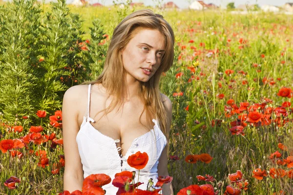 Porträt eines schönen Mädchens in den Mohnblumen — Stockfoto