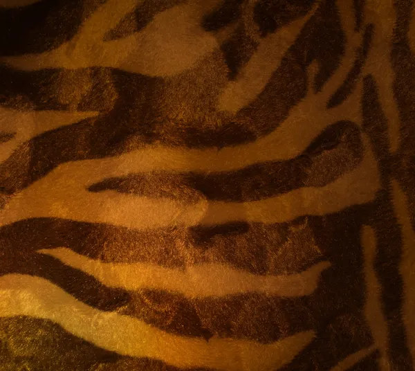 Tigris szőrme — Stock Fotó