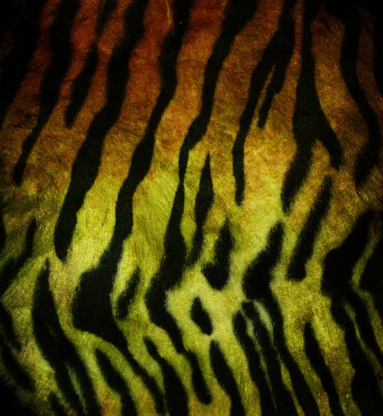 Тигриный мех — стоковое фото