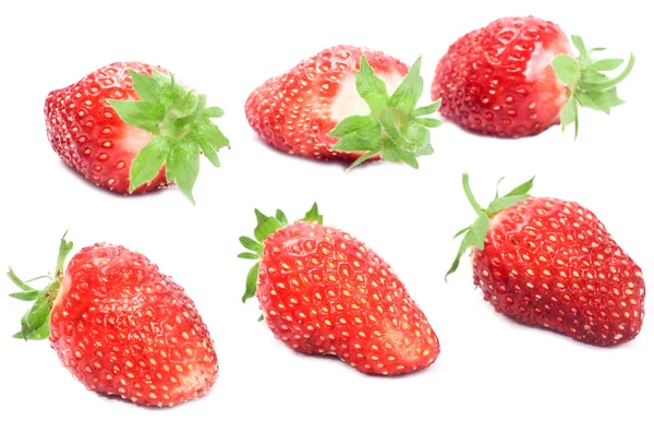 정원 딸기 — 스톡 사진