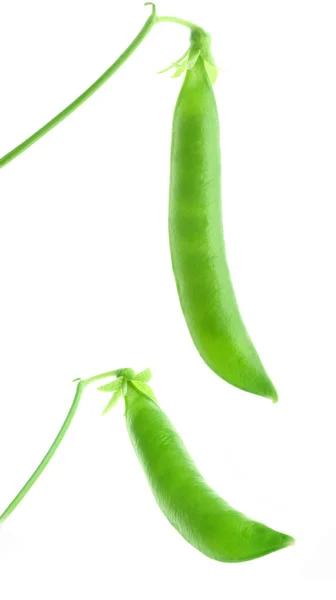 新鲜的豌豆 — 图库照片