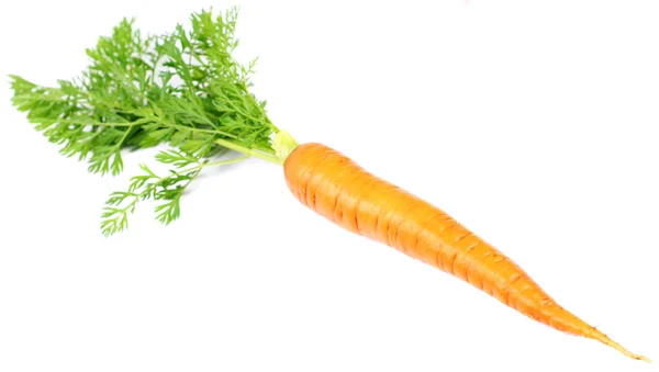 Carrot — Stock Photo, Image