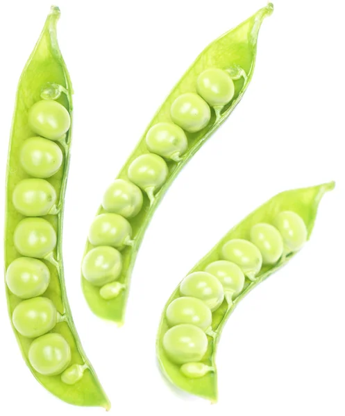 Fresh pea — Stock Photo, Image