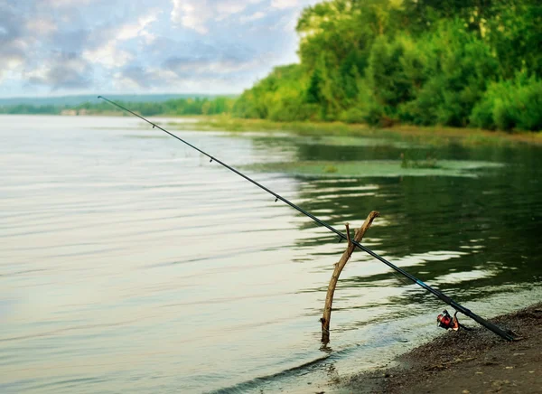 Canne à pêche — Photo