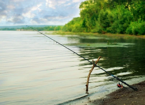 stock image Fishing-rod