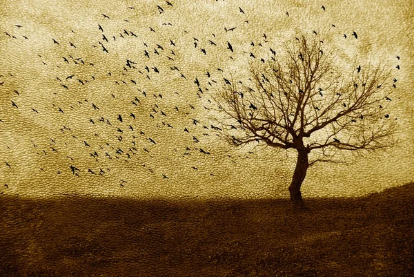 Одинокое дерево и петух — стоковое фото