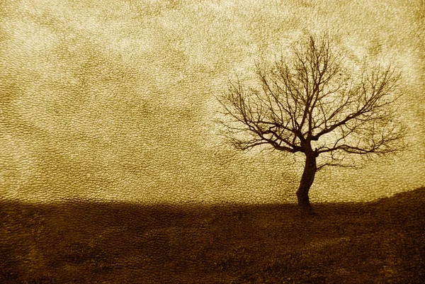 Single tree on leather texture — Stock Photo, Image