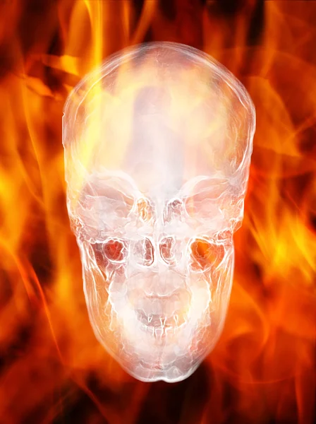 Skull in fire — Stock Photo, Image