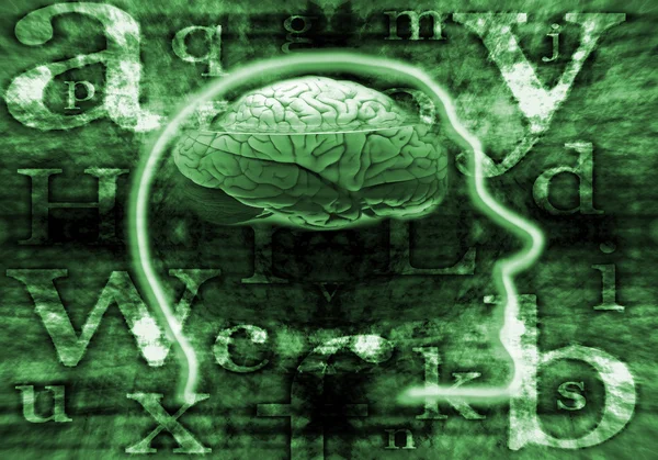 Cerebro digital — Foto de Stock