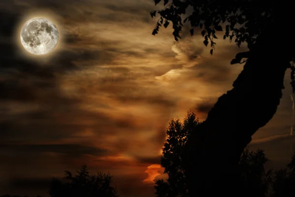 Місяць в нічному небі — стокове фото