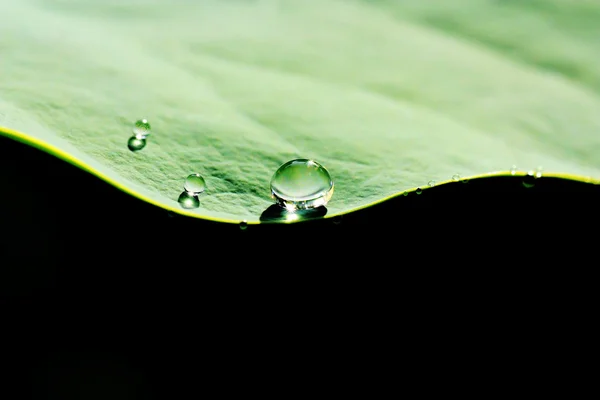 Краплі води роса — стокове фото