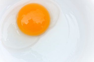 çiğ yumurta üzerinde beyaz izole