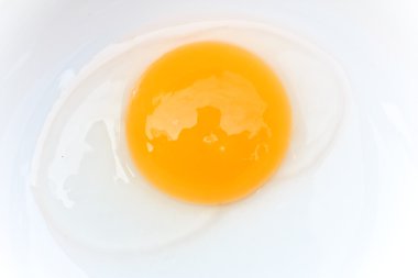 çiğ yumurta üzerinde beyaz izole