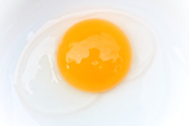 Raw egg isolated on white clipart