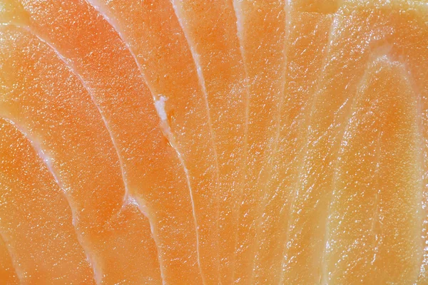 Salmon seshimi close-up — Stok Foto
