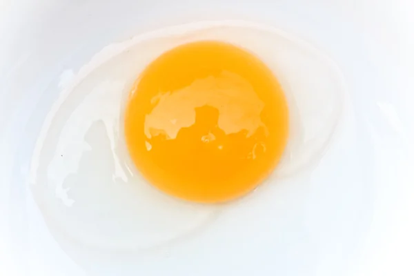 Telur mentah diisolasi pada putih — Stok Foto