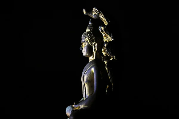 Lumière de Bouddha image — Photo