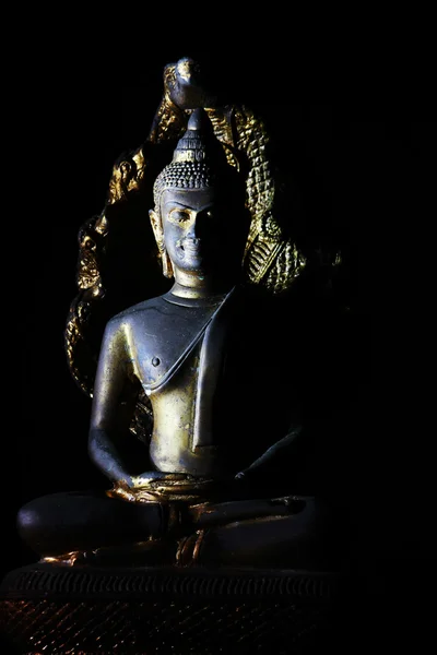 Fény a buddha kép — Stock Fotó