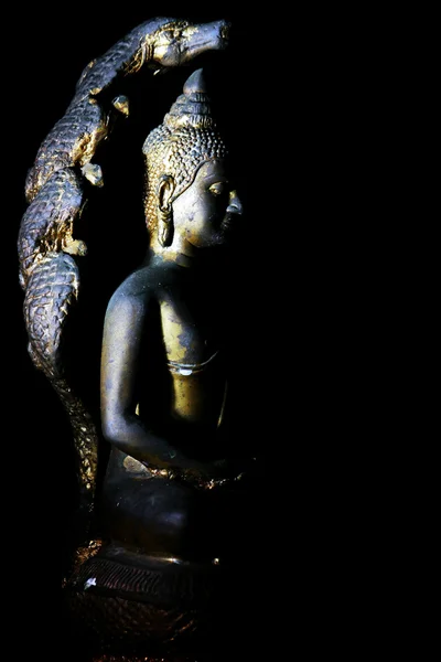 Licht van Boeddha beeld — Stockfoto