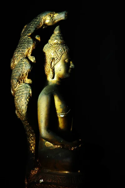 Lumière de Bouddha image — Photo