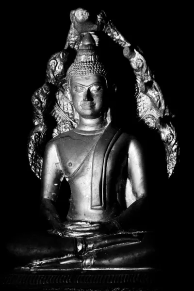 Свет Будды — стоковое фото