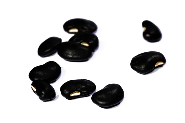 Černé fazole — Stock fotografie