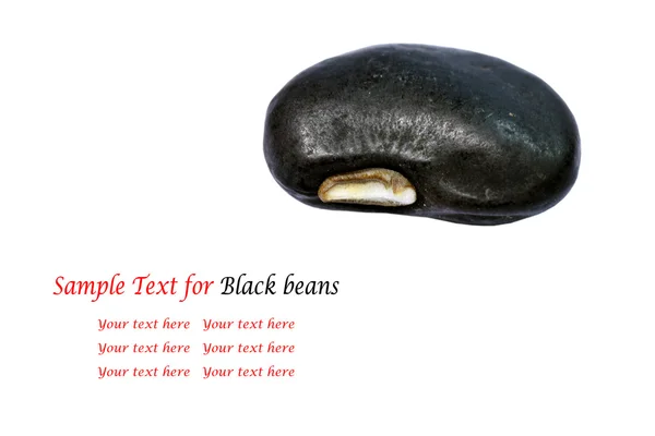 Czarna fasola — Zdjęcie stockowe