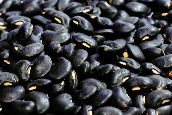 Чёрные бобы — стоковое фото