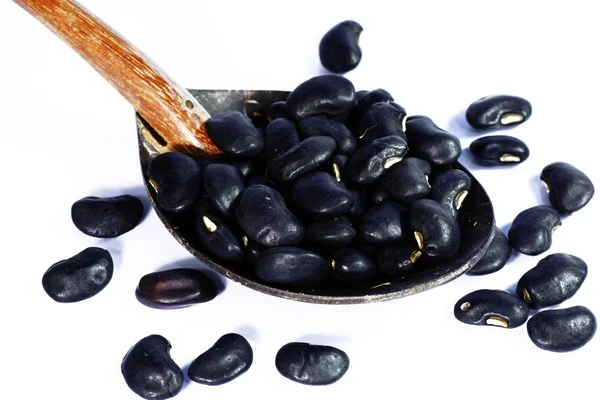 검은 콩 — 스톡 사진