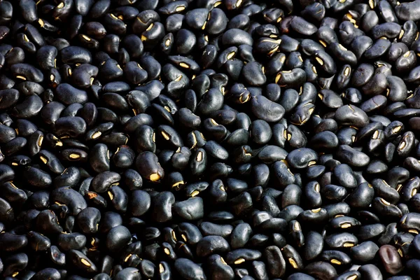 Schwarze Bohnen — Stockfoto