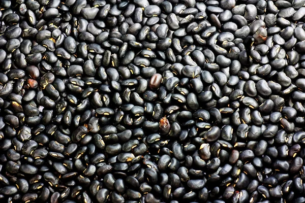 黑豆 — 图库照片