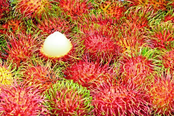 stock image Tropical Fruit,Rambutan.