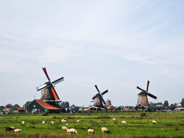 Dutch windmills , Netherlands clipart