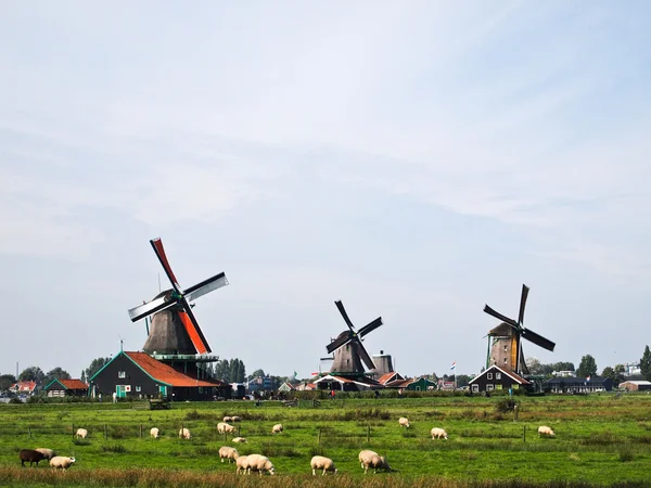 Molinos de viento holandeses, Países Bajos — Foto de Stock