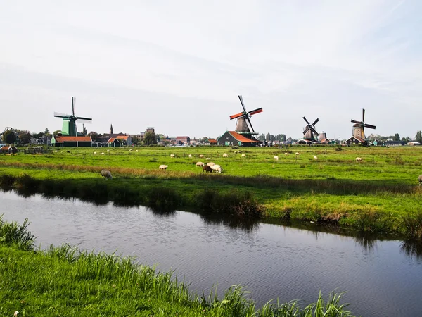 Molinos de viento holandeses de los Países Bajos — Foto de Stock