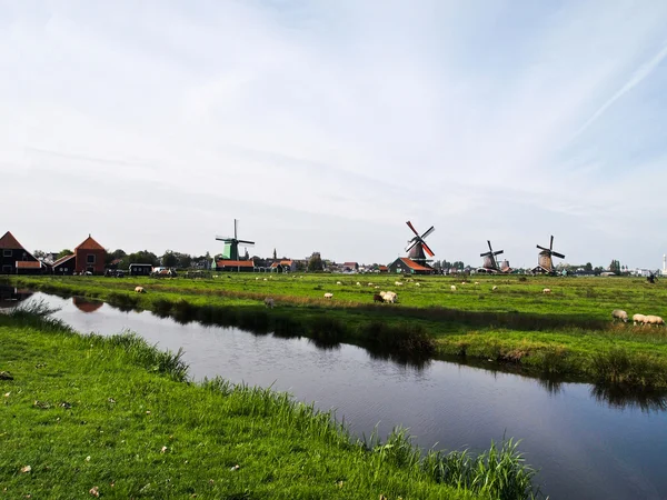 Landschaft mit holländischen Windmühlen — Stockfoto