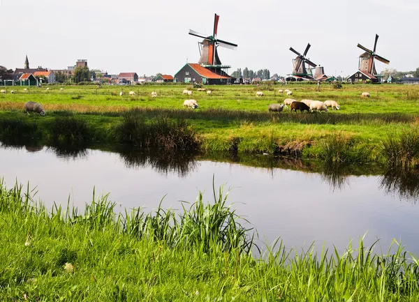 Molinos de viento holandeses en Holanda Fotos de stock libres de derechos