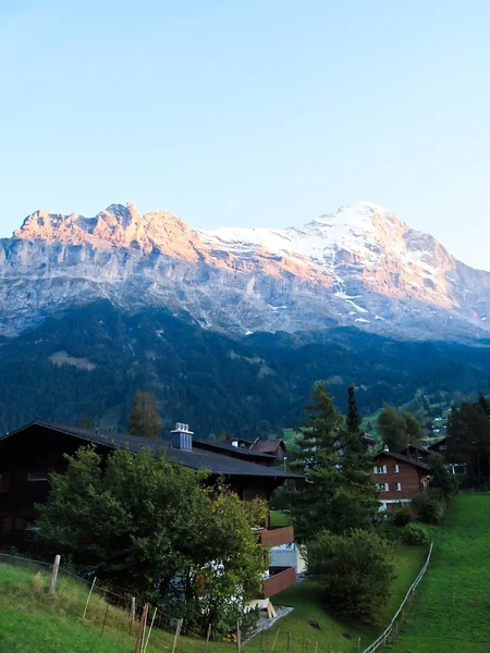 Swiss village view at Jungfrau , Switzerland — Stock Photo, Image