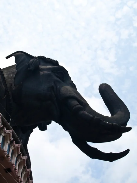 Elefantin pään tila (pystysuora) ) — kuvapankkivalokuva