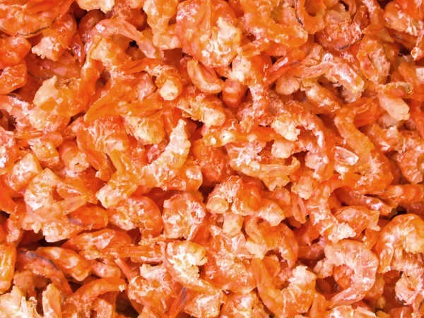 stock image Dried Shrimps