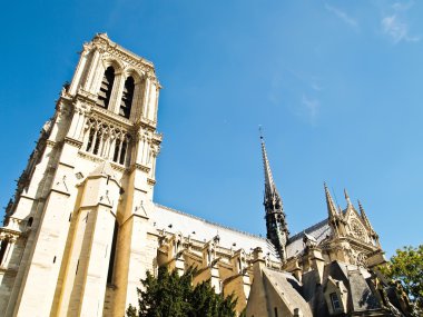 notre dame veya bizim Bayan Paris, Fransa