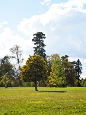 versailles Garden kale manzara